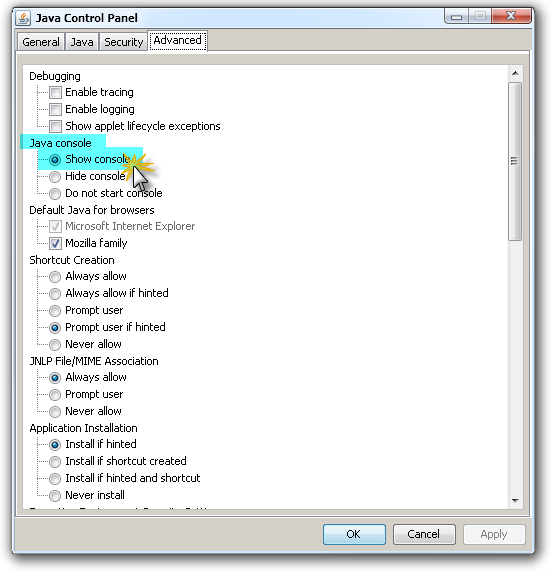 Enable Java Console